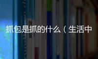 抓包是抓的什么（生活中抓包是什么意思）