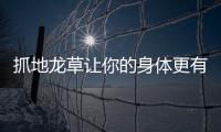 抓地龍草讓你的身體更有力量，快來看我分享的秘密！