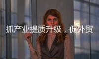 抓產業提質升級，促外貿穩健增長