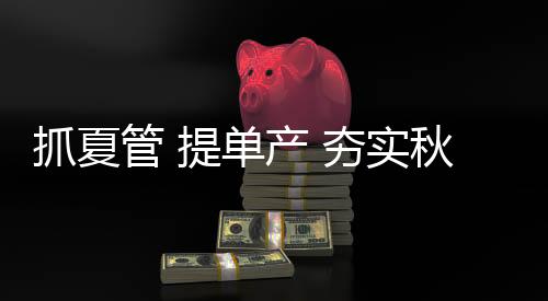 抓夏管 提單產 夯實秋糧豐收基礎
