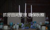 抓好田間管理 確保秋糧豐收_