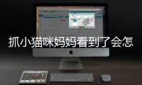 抓小貓咪媽媽看到了會(huì)怎樣