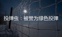 投彈蟲：被譽為綠色投彈手,擅長扔綠色手榴彈