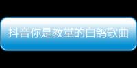 抖音你是教堂的白鴿歌曲歌名叫什么 白鴿與烏鴉歌詞完整版