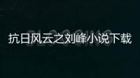 抗日風云之劉峰小說下載 1080P（抗日風云之劉峰）