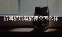折耳貓玩逗貓棒會怎么樣？折耳貓能玩逗貓棒嗎