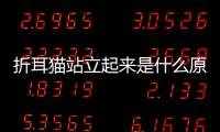 折耳貓站立起來是什么原因(折耳貓站立是因為疼嗎)