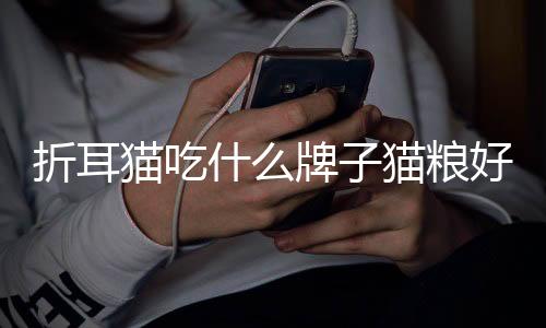 折耳貓吃什么牌子貓糧好？折耳貓吃什么牌子貓糧好一點