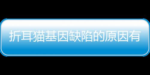 折耳貓基因缺陷的原因有哪些？折耳貓基因問題