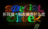 折耳貓一般發病是什么癥狀(折耳貓犯病的初期癥狀)