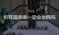 折耳貓串串一定會發(fā)病嗎(串串折耳貓發(fā)病幾率)