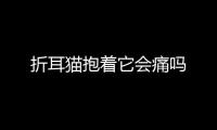 折耳貓抱著它會痛嗎