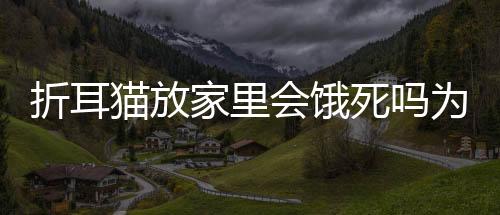 折耳貓放家里會餓死嗎為什么(折耳貓可以遛嗎)