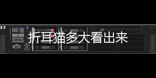 折耳貓多大看出來