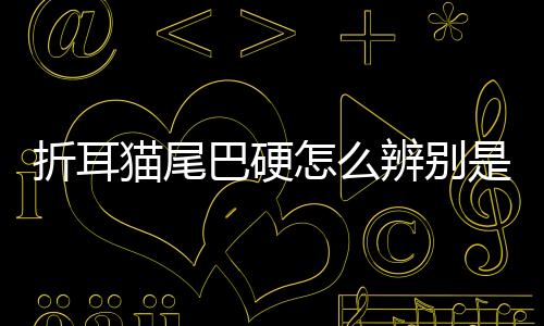 折耳貓尾巴硬怎么辨別是否正常？折耳貓尾巴辨別僵硬