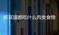 折耳貓都吃什么肉類食物？折耳貓都吃些什么