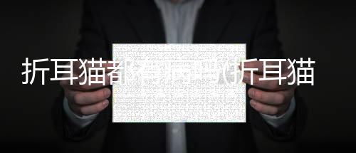 折耳貓都有病嗎(折耳貓真的有病嗎)