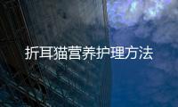 折耳貓營養護理方法