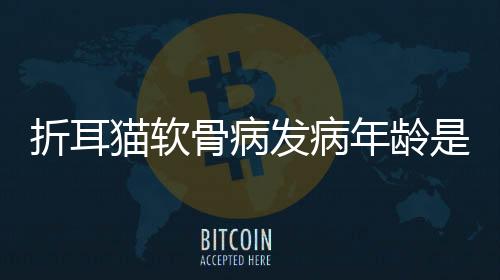 折耳貓軟骨病發病年齡是多少，折耳貓軟骨病發病率是多少
