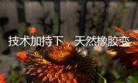 技術加持下，天然橡膠變身多種新材料