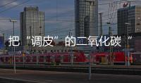 把“調皮”的二氧化碳“捉”起來