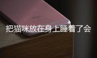 把貓咪放在身上睡著了會怎樣？睡在貓貓身上
