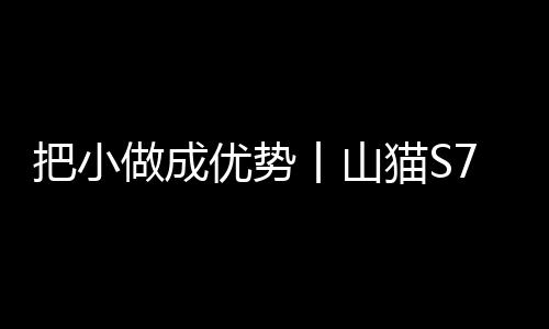 把小做成優(yōu)勢(shì)丨山貓S70的那些“小”生意！