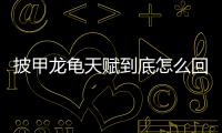 披甲龍龜天賦到底怎么回事?