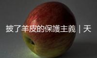 披了羊皮的保護主義｜天下雜誌
