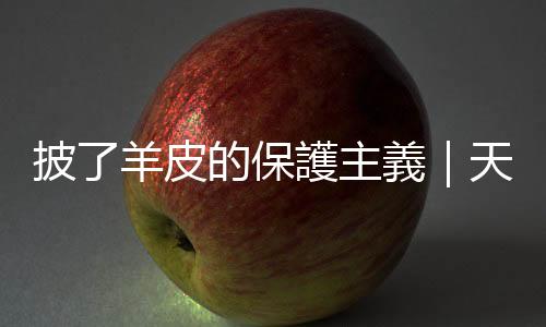 披了羊皮的保護主義｜天下雜誌