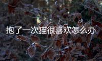 抱了一次貓很喜歡怎么辦呢(一抱貓咪就咬我怎么回事)
