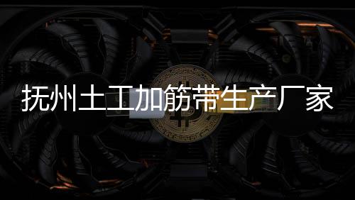 撫州土工加筋帶生產廠家