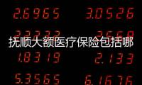 撫順大額醫(yī)療保險(xiǎn)包括哪些病