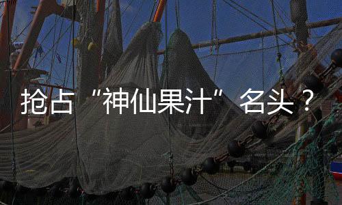 搶占“神仙果汁”名頭？榜洋·上品燉申請出戰！！！