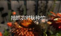 搶抓農(nóng)時秋種忙_