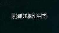 搶抓旺季忙生產