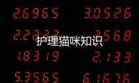 護理貓咪知識