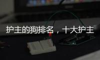 護主的狗排名，十大護主人的狗排名
