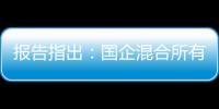 報(bào)告指出：國(guó)企混合所有制改革切忌一窩蜂、定比例