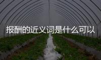 報酬的近義詞是什么可以這樣解讀嗎?