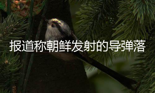報道稱朝鮮發射的導彈落在韓國領海附近 中國外交部回應