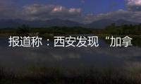 報道稱：西安發現“加拿大一枝黃花” 有著“此花開處百花殺”的說法