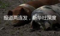 報道兩連發(fā)，新華社深度觀察三一“新曲線“！