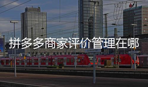 拼多多商家評(píng)價(jià)管理在哪里（評(píng)價(jià)管理在哪里）