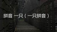 拼音 一只（一只拼音）