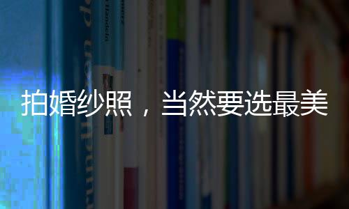 拍婚紗照，當然要選最美酒莊