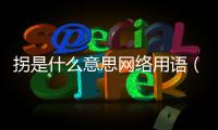 拐是什么意思網(wǎng)絡(luò)用語（拐是什么意思）