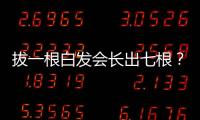 拔一根白發會長出七根？白發有哪些真相，愛發的你最好了解下