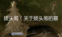 拔頭籌（關(guān)于拔頭籌的基本情況說(shuō)明介紹）