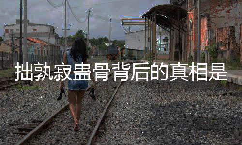 拙孰寂蠱骨背后的真相是什么?